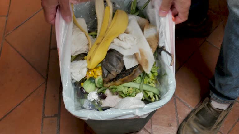 Best Dumpster Rental Services  in Greenville, MI