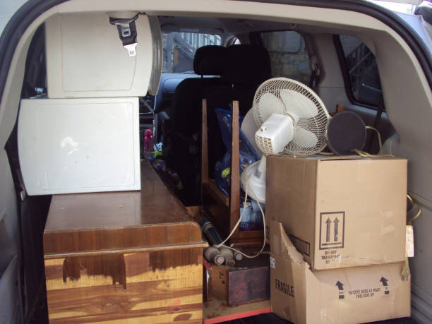 Best Estate Cleanout  in Greenville, MI