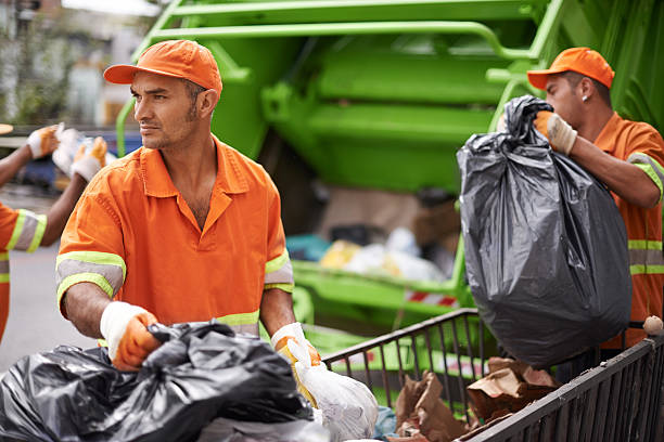 Best Yard Waste Removal  in Greenville, MI